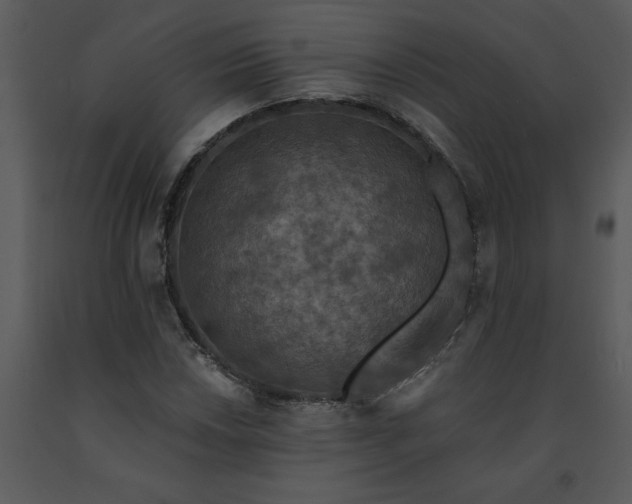 X0000091461018200708301826