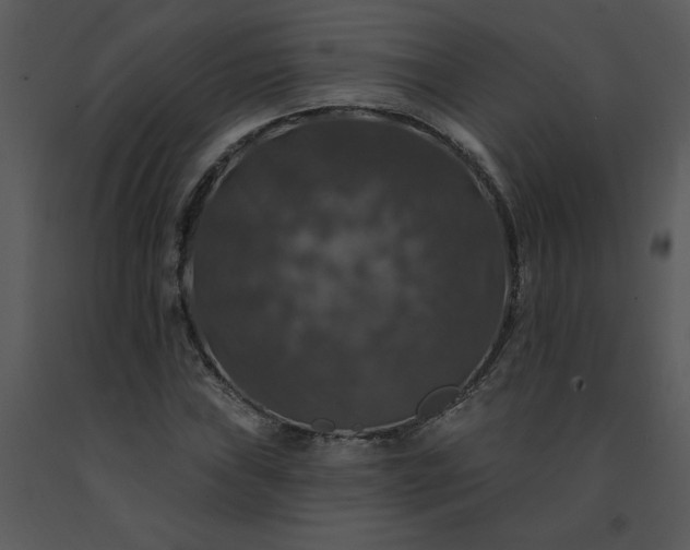 X0000091461019200708301826