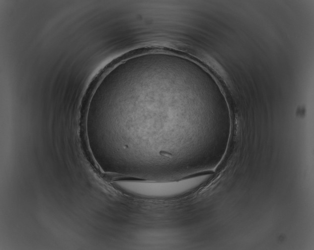 X0000091461020200708301826