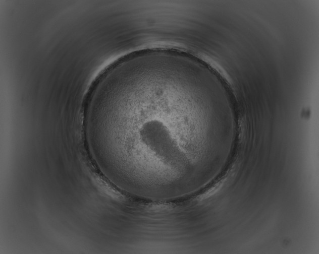 X0000091461021200708301826