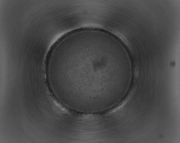 X0000091461022200708301826