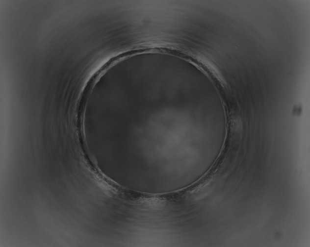 X0000091461023200708301826