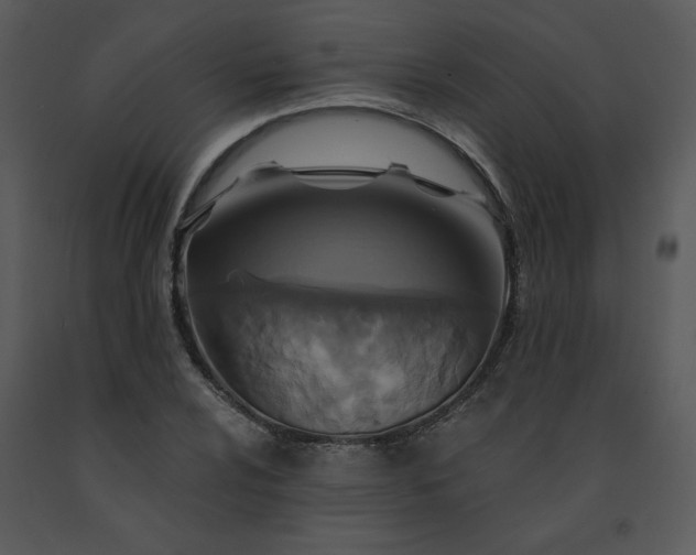 X0000091461024200708301826