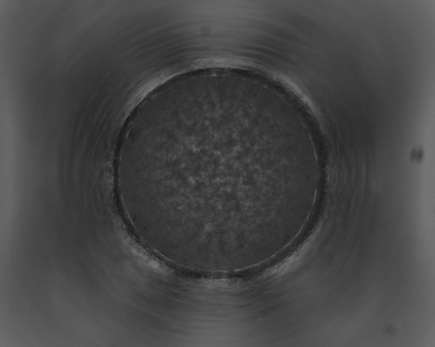 X0000091461025200708301826