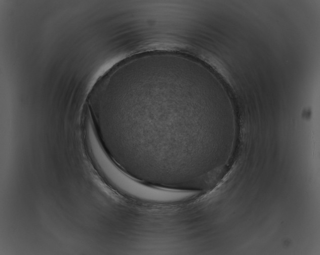 X0000091461026200708301826