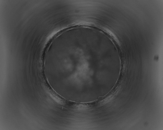 X0000091461027200708301826