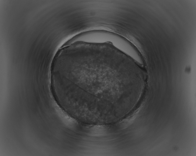 X0000091461028200708301826