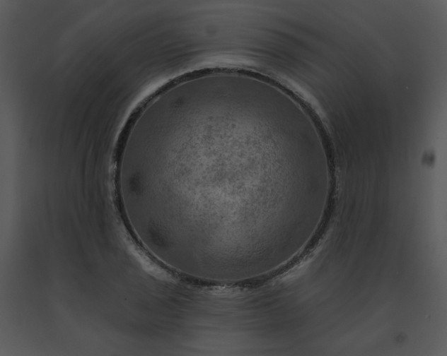 X0000091461029200708301826