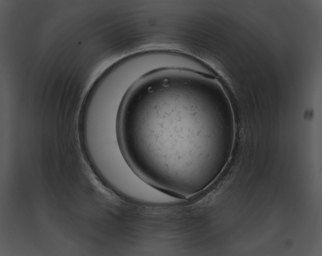 X0000091461030200708301827