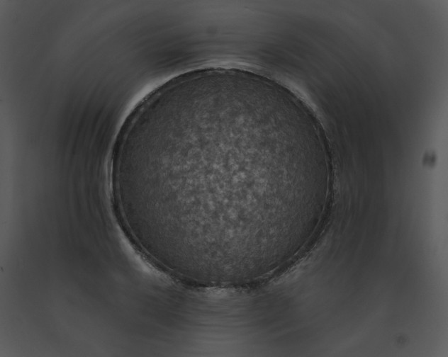 X0000091461032200708301827