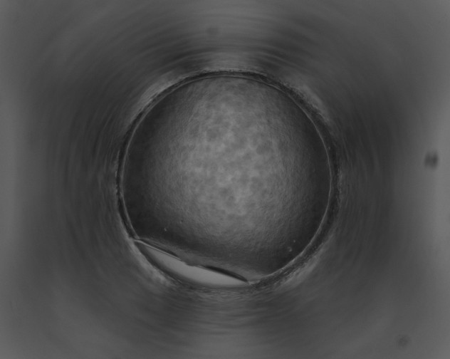 X0000091461033200708301827