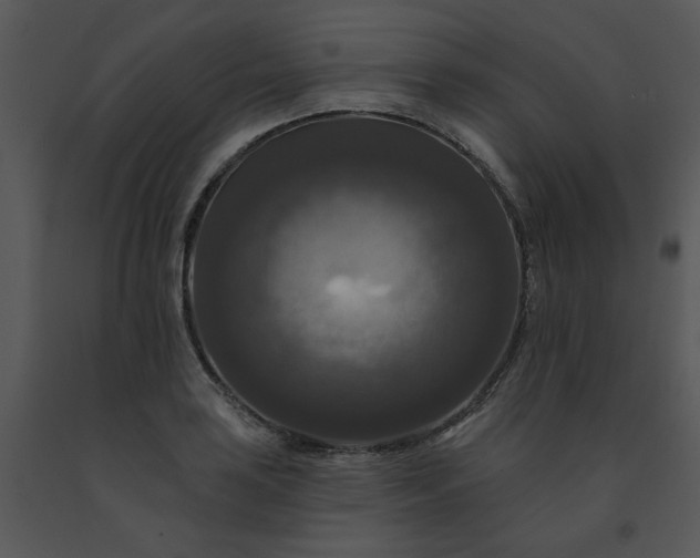 X0000091461035200708301827