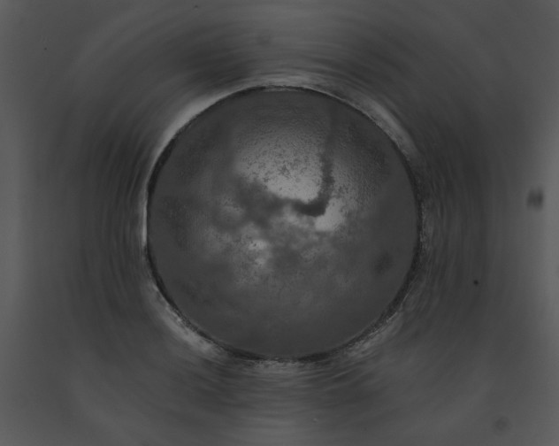 X0000091461036200708301827