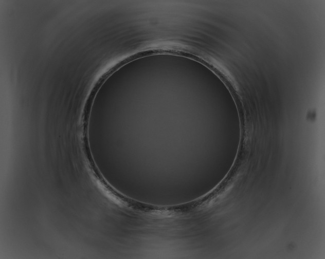 X0000091461037200708301827