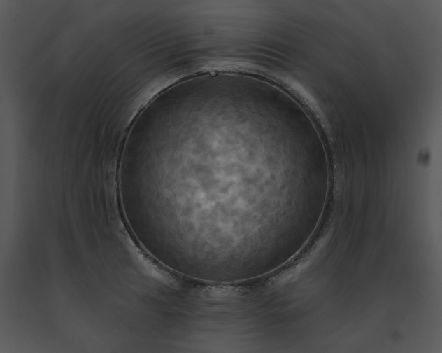 X0000091461041200708301827