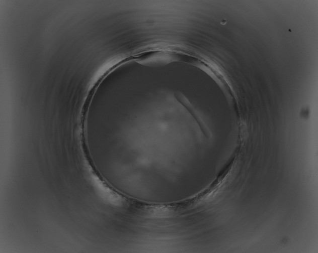 X0000091461042200708301827