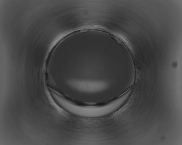 X0000091461046200708301827