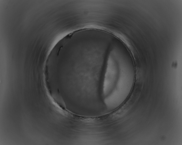 X0000091461048200708301827