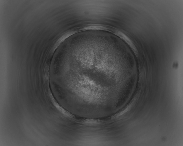 X0000091461049200708301827