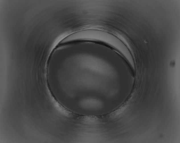 X0000091461050200708301827