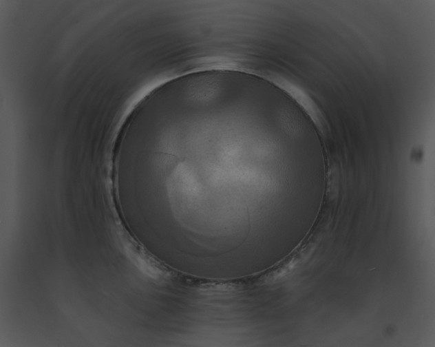 X0000091461051200708301827