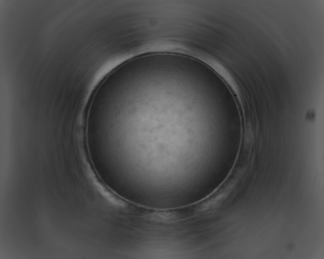 X0000091461053200708301827