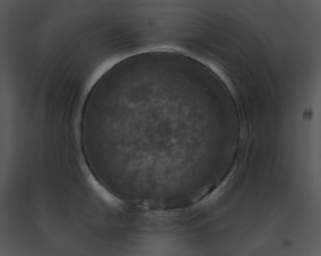 X0000091461054200708301827