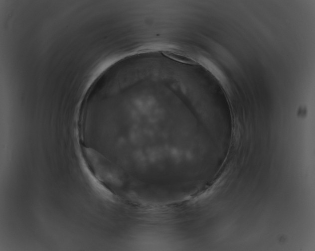 X0000091461055200708301827