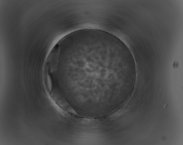 X0000091461056200708301827