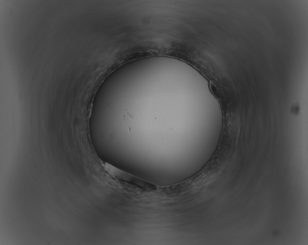 X0000091461057200708301826