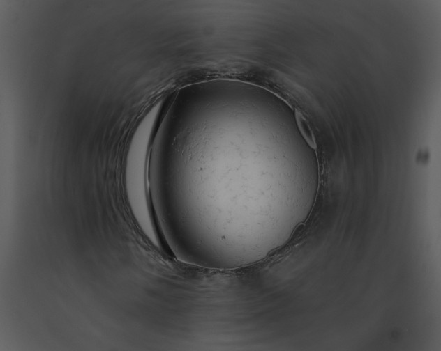 X0000091461058200708301826