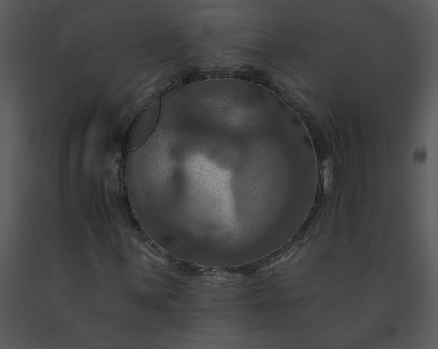 X0000091461059200708301826