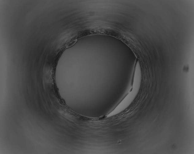 X0000091461060200708301826