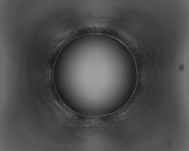 X0000091461061200708301826