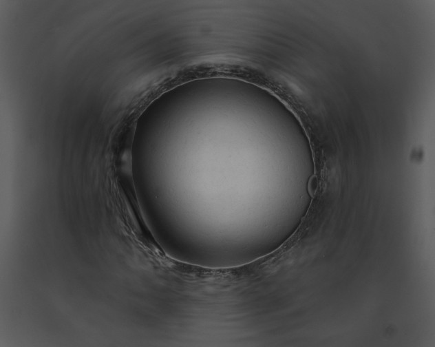 X0000091461062200708301826