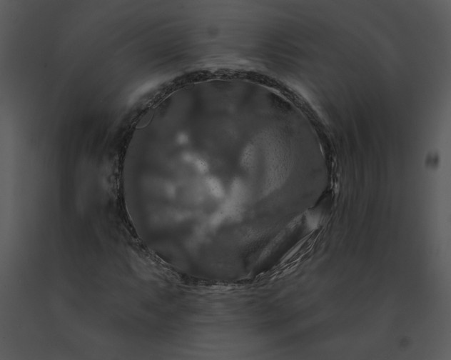 X0000091461063200708301826