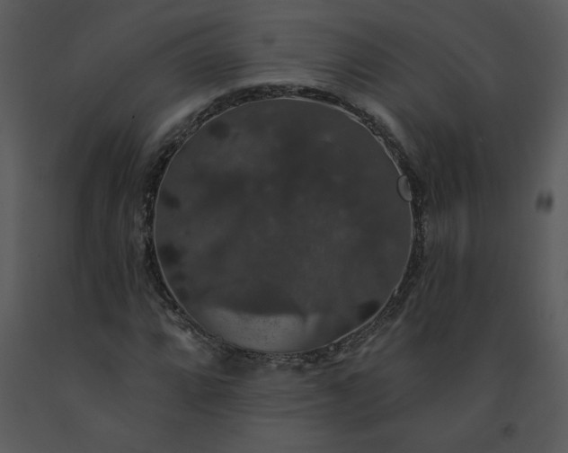 X0000091461064200708301826