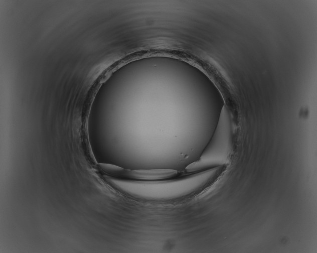 X0000091461065200708301826