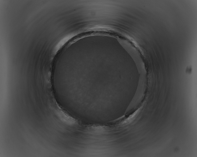 X0000091461066200708301826