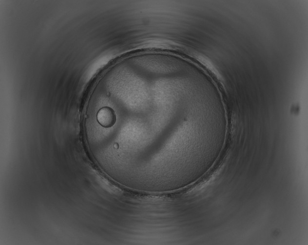 X0000091461067200708301826