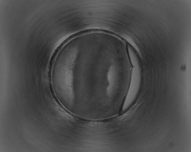 X0000091461068200708301826