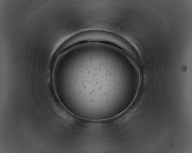 X0000091461069200708301826