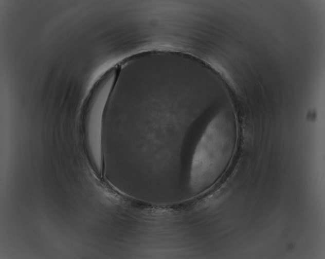 X0000091461070200708301826