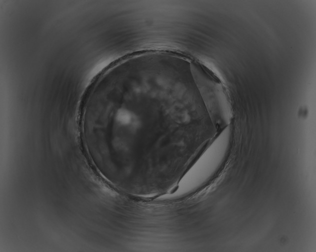 X0000091461071200708301826