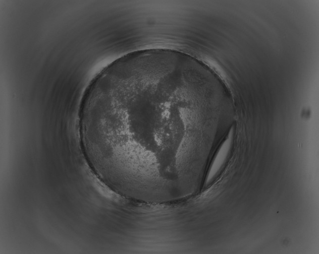 X0000091461072200708301826