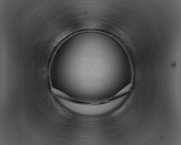 X0000091461073200708301826