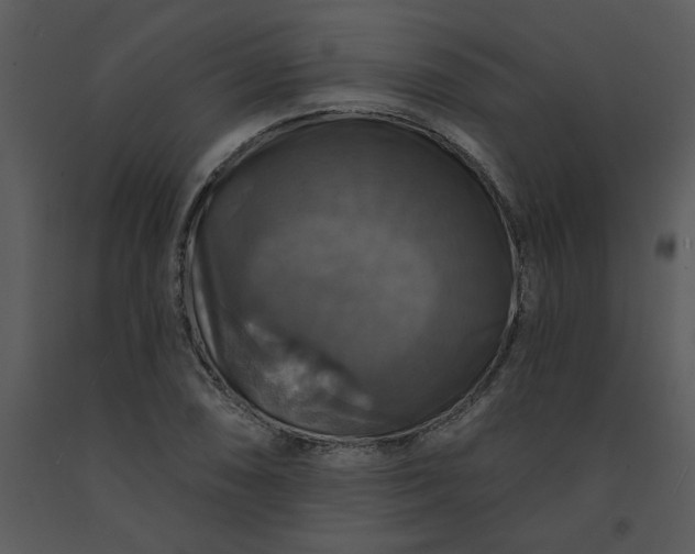 X0000091461074200708301826