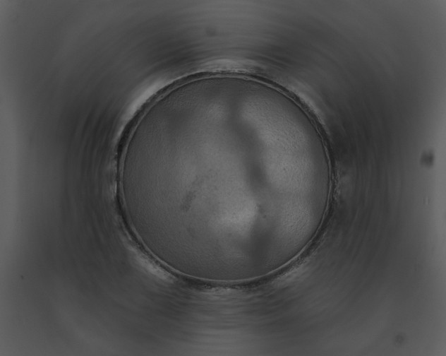 X0000091461075200708301826