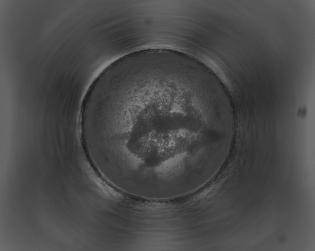 X0000091461076200708301826