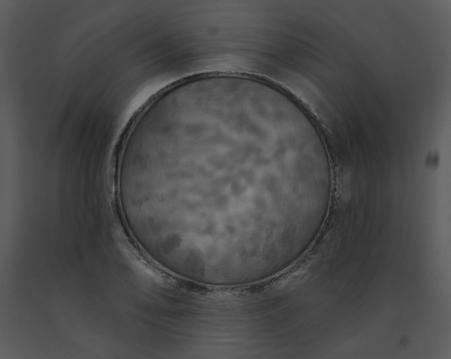 X0000091461078200708301826